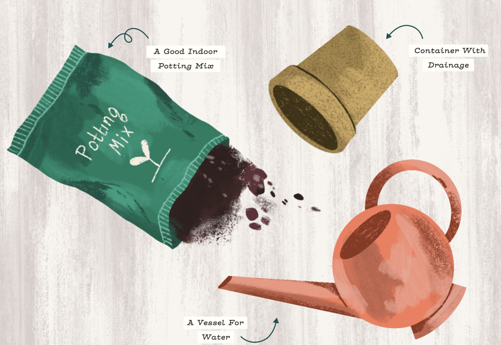 Image 13-8-2024 at 3.25 pm.jpeg