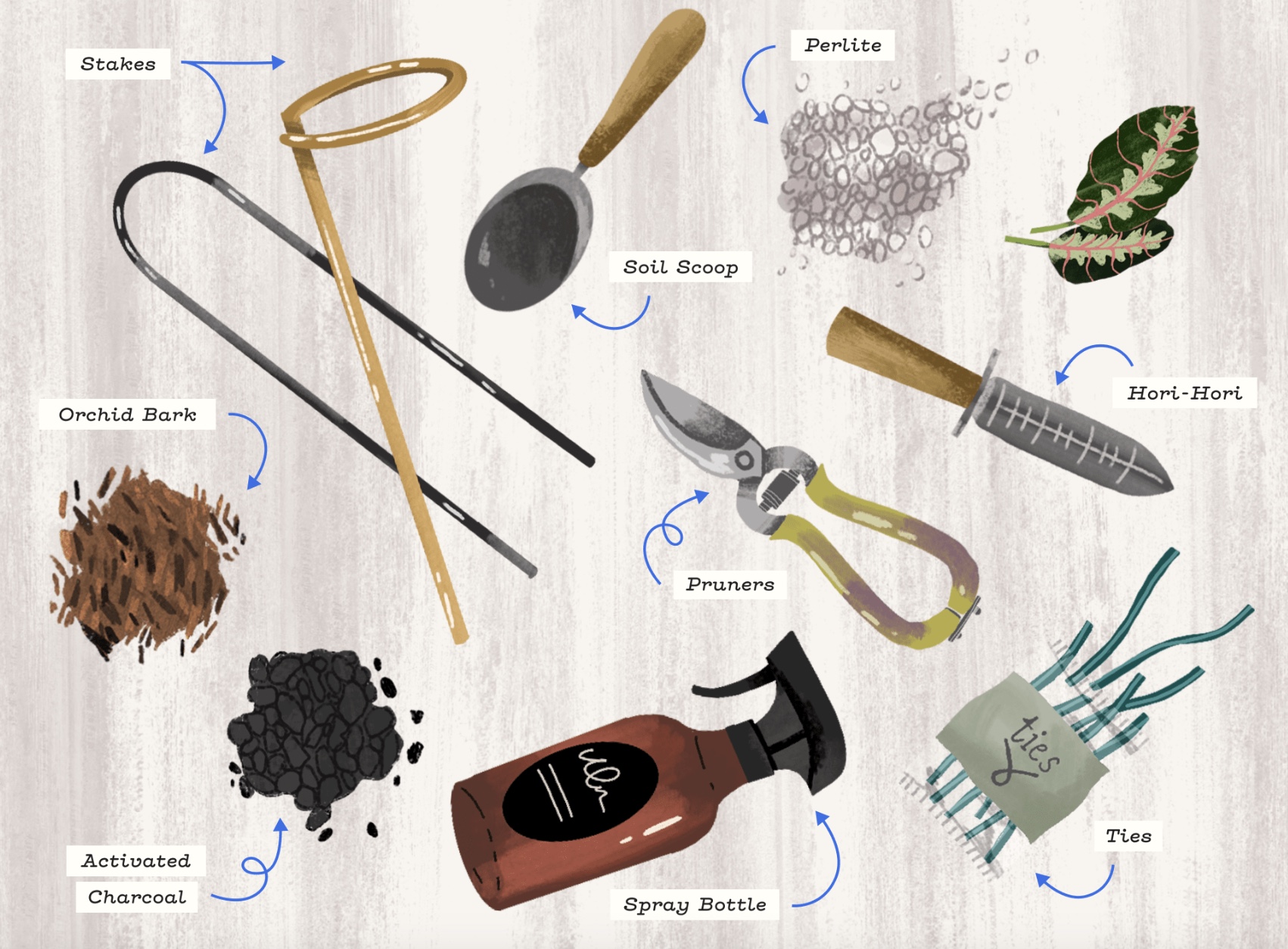 Image 13-8-2024 at 3.48 pm.jpeg