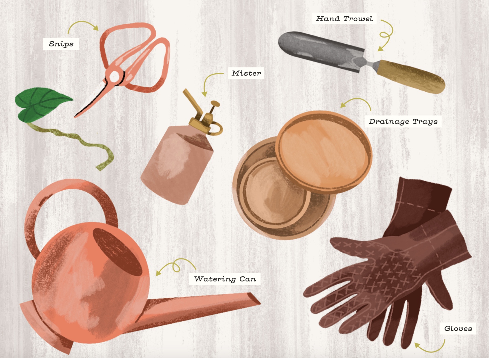 Image 13-8-2024 at 3.42 pm.jpeg