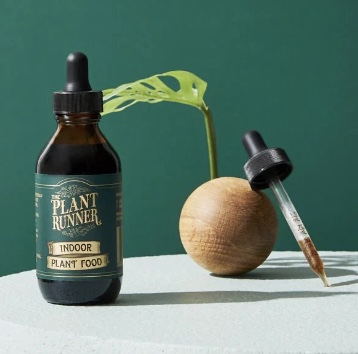 Image 13-8-2024 at 4.00 pm.jpeg